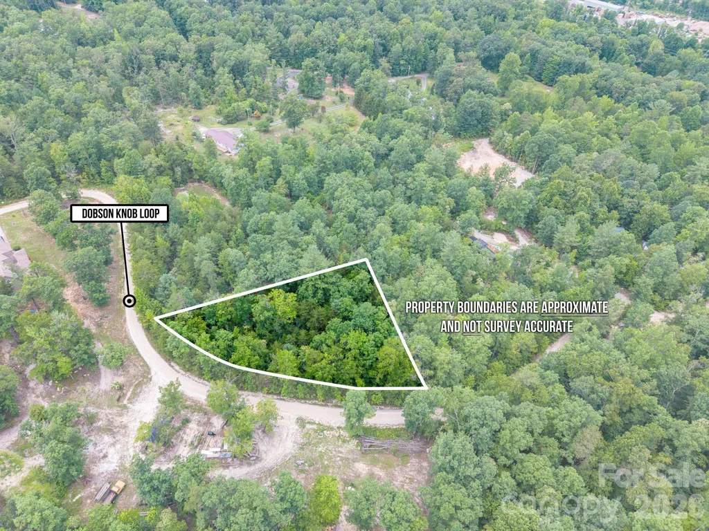 6 Dobsons Knob Loop Marion NC 28752