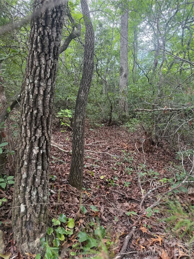 6 Dobsons Knob Loop Marion NC 28752