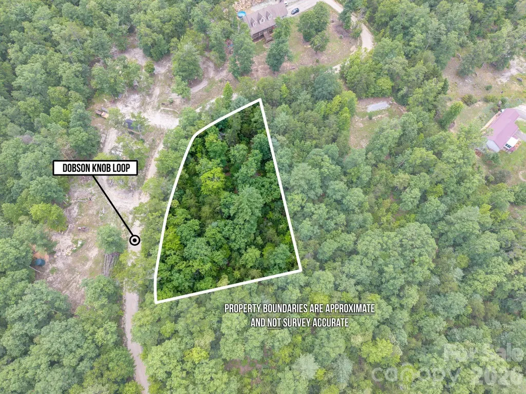 6 Dobsons Knob Loop Marion NC 28752