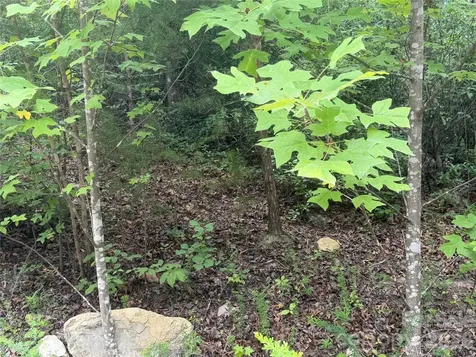 6 Dobsons Knob Loop Marion NC 28752
