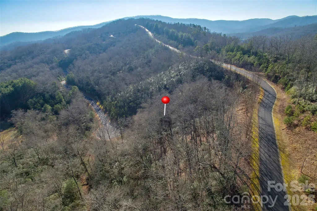 9999 Mayfly Lane Horse Shoe NC 28742