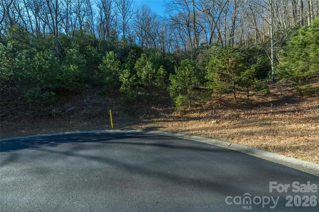 9999 Mayfly Lane Horse Shoe NC 28742