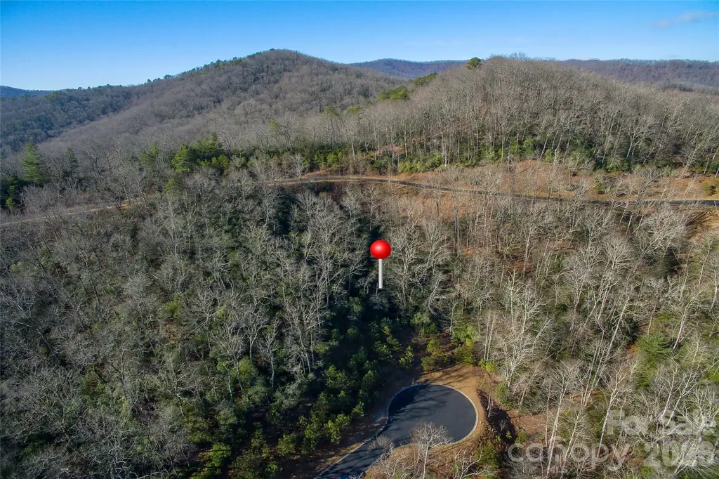 9999 Mayfly Lane Horse Shoe NC 28742