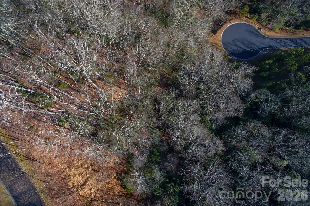 9999 Mayfly Lane Horse Shoe NC 28742