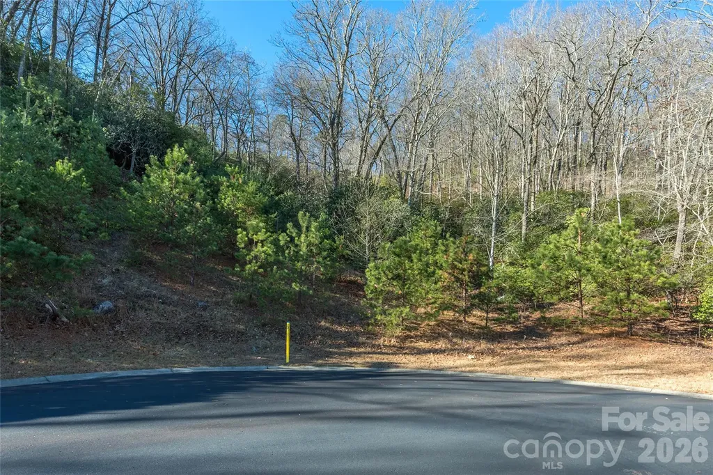 9999 Mayfly Lane Horse Shoe NC 28742