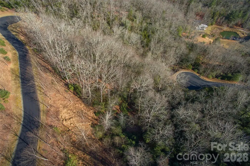 9999 Mayfly Lane Horse Shoe NC 28742