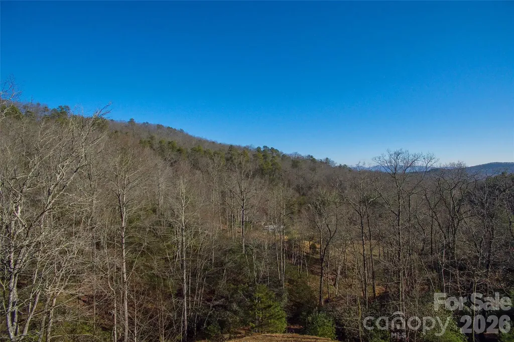 9999 Mayfly Lane Horse Shoe NC 28742