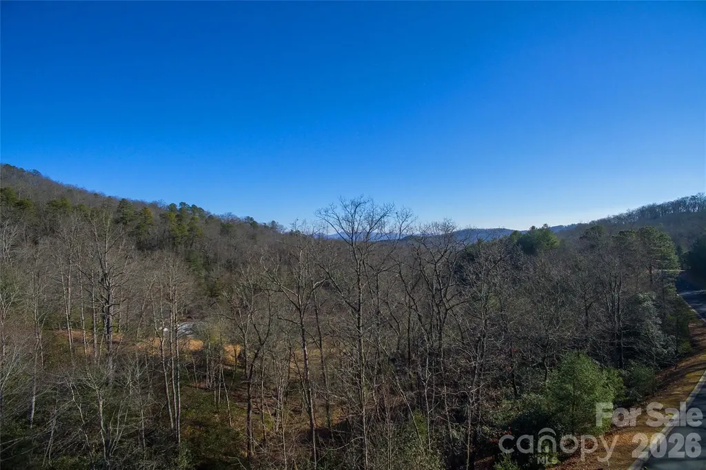 9999 Mayfly Lane Horse Shoe NC 28742