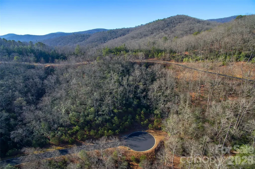 9999 Mayfly Lane Horse Shoe NC 28742