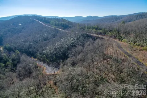 9999 Mayfly Lane Horse Shoe NC 28742