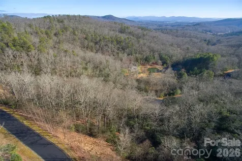 9999 Mayfly Lane Horse Shoe NC 28742