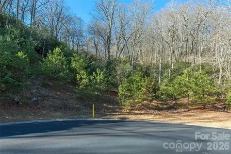 9999 Mayfly Lane Horse Shoe NC 28742