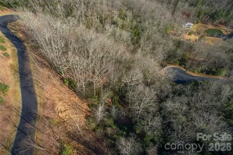 9999 Mayfly Lane Horse Shoe NC 28742