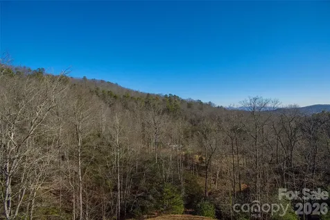 9999 Mayfly Lane Horse Shoe NC 28742