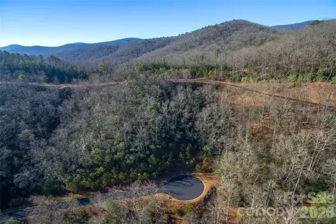 9999 Mayfly Lane Horse Shoe NC 28742