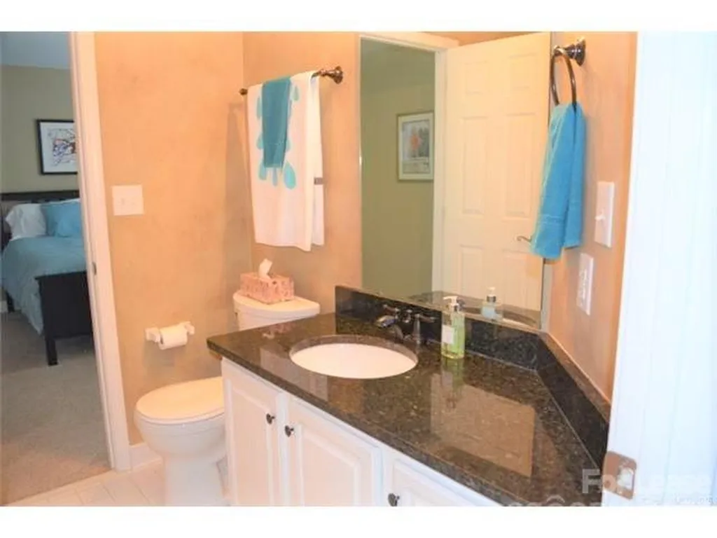 1313 Torrence Circle Davidson NC 28036