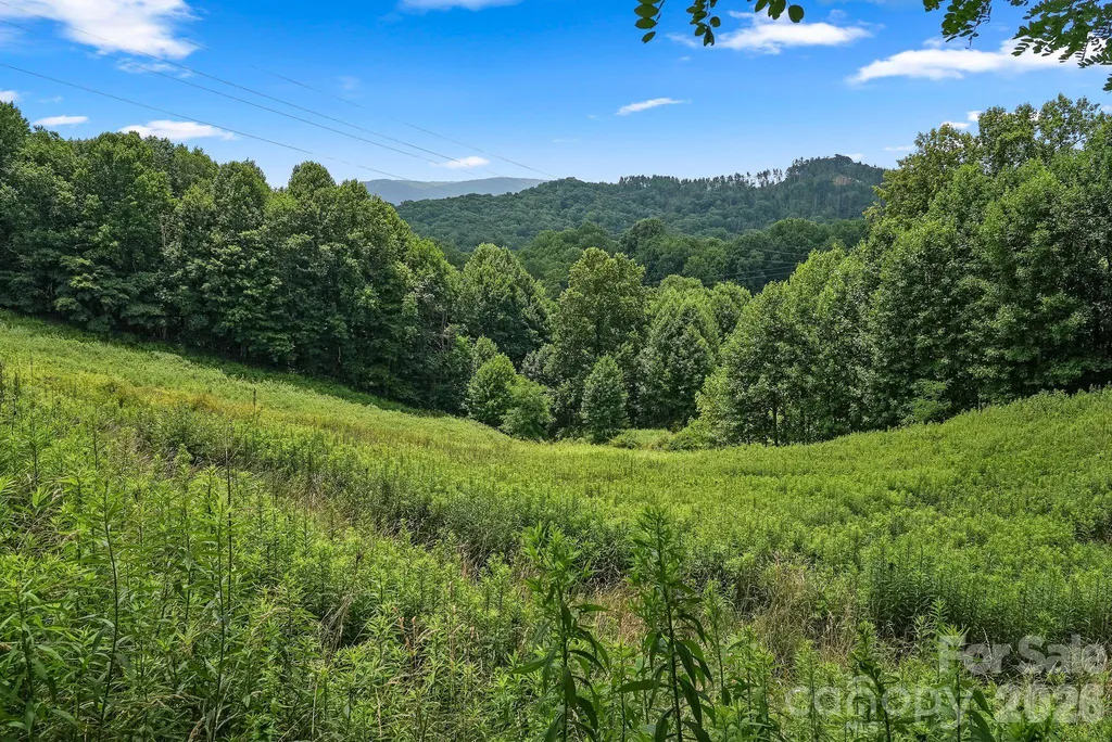 244 Flat Springs Road Elk Park NC 28622
