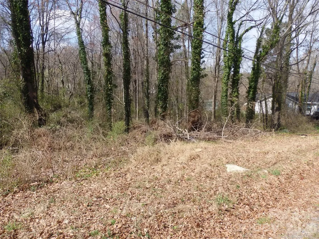 0 Chestnut Street Asheboro NC 27203