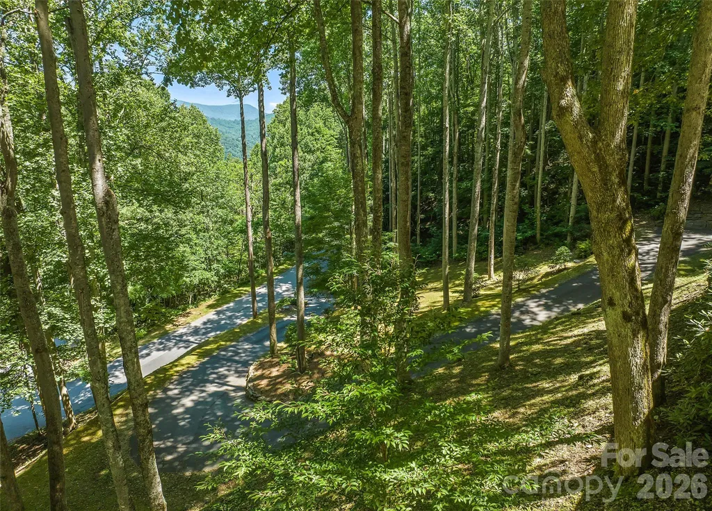 26 Tawodi Trail Maggie Valley NC 28751
