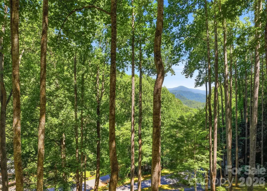26 Tawodi Trail Maggie Valley NC 28751