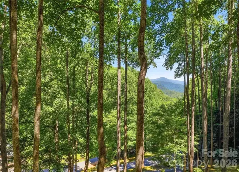 26 Tawodi Trail Maggie Valley NC 28751