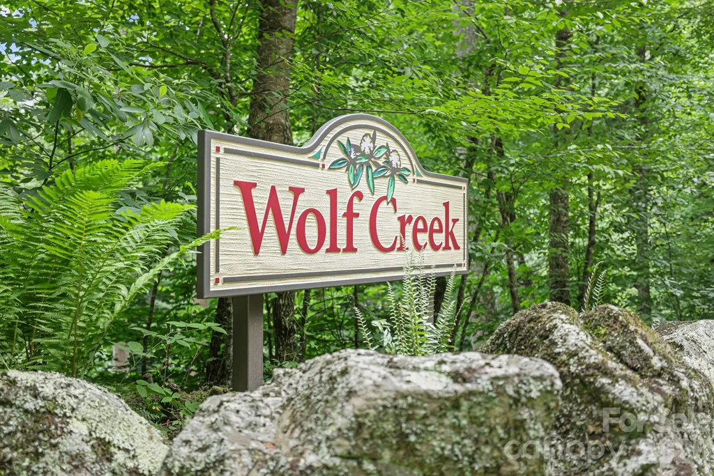 337 Leatherbreeches Drive Tuckasegee NC 28783