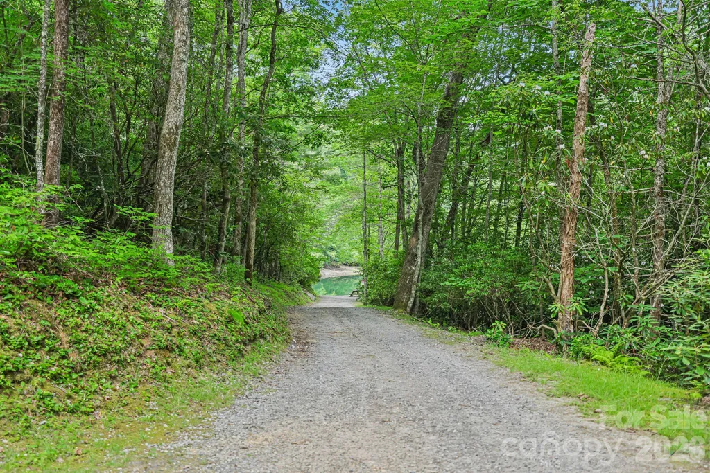 337 Leatherbreeches Drive Tuckasegee NC 28783