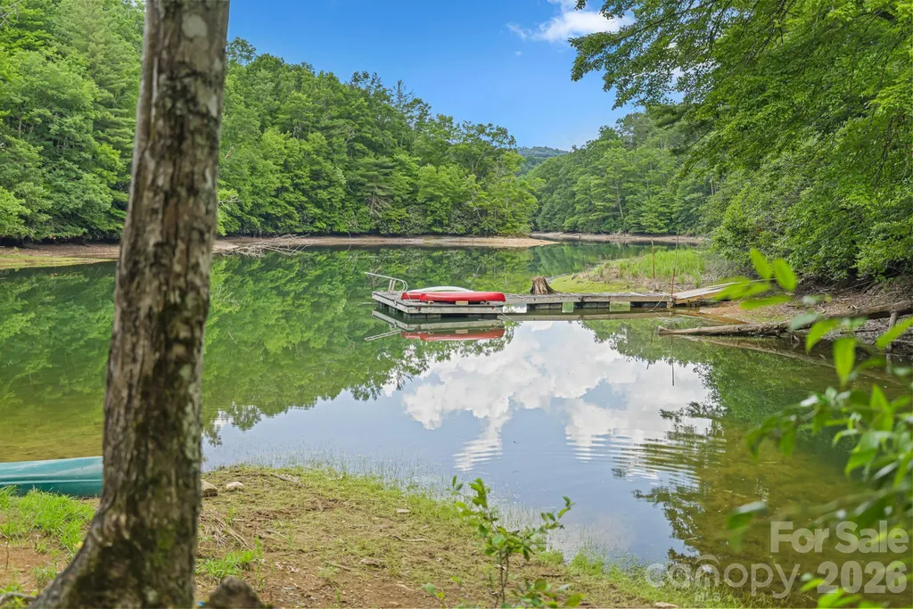 337 Leatherbreeches Drive Tuckasegee NC 28783