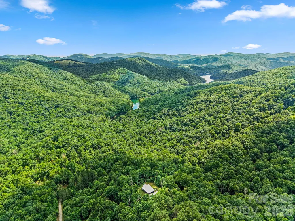337 Leatherbreeches Drive Tuckasegee NC 28783