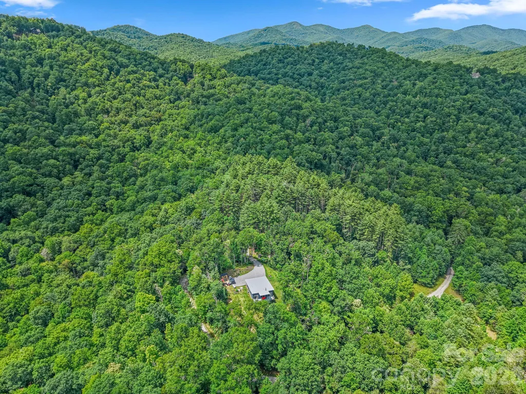337 Leatherbreeches Drive Tuckasegee NC 28783
