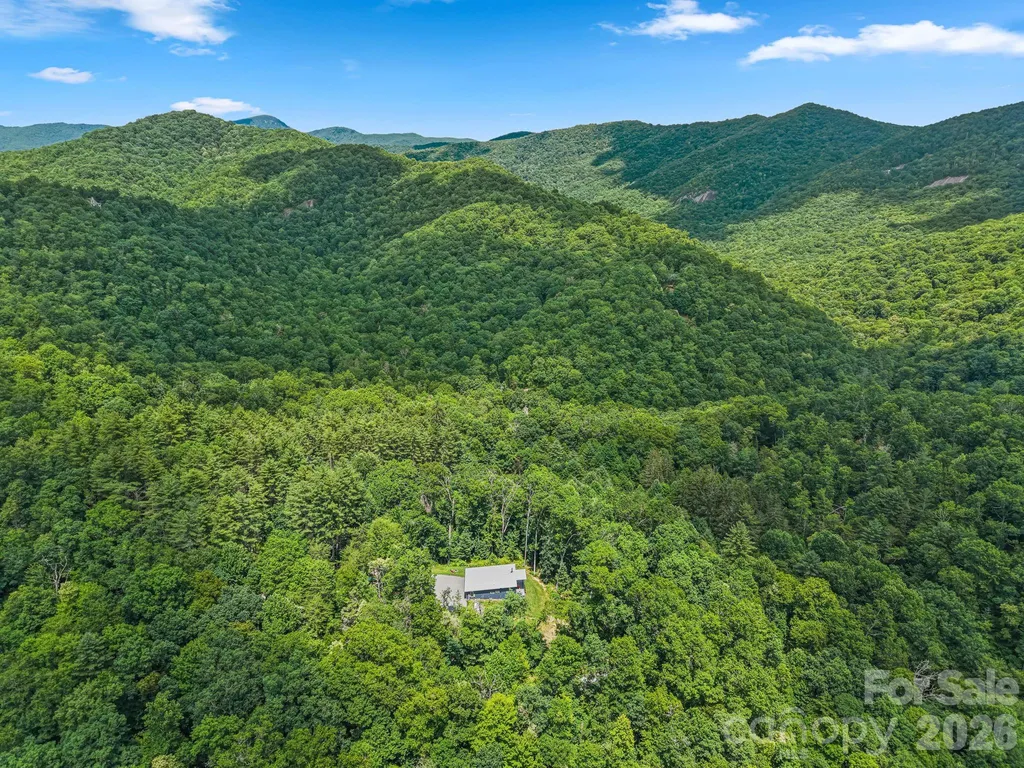 337 Leatherbreeches Drive Tuckasegee NC 28783