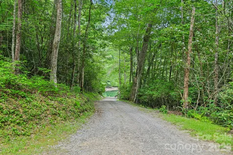 337 Leatherbreeches Drive Tuckasegee NC 28783