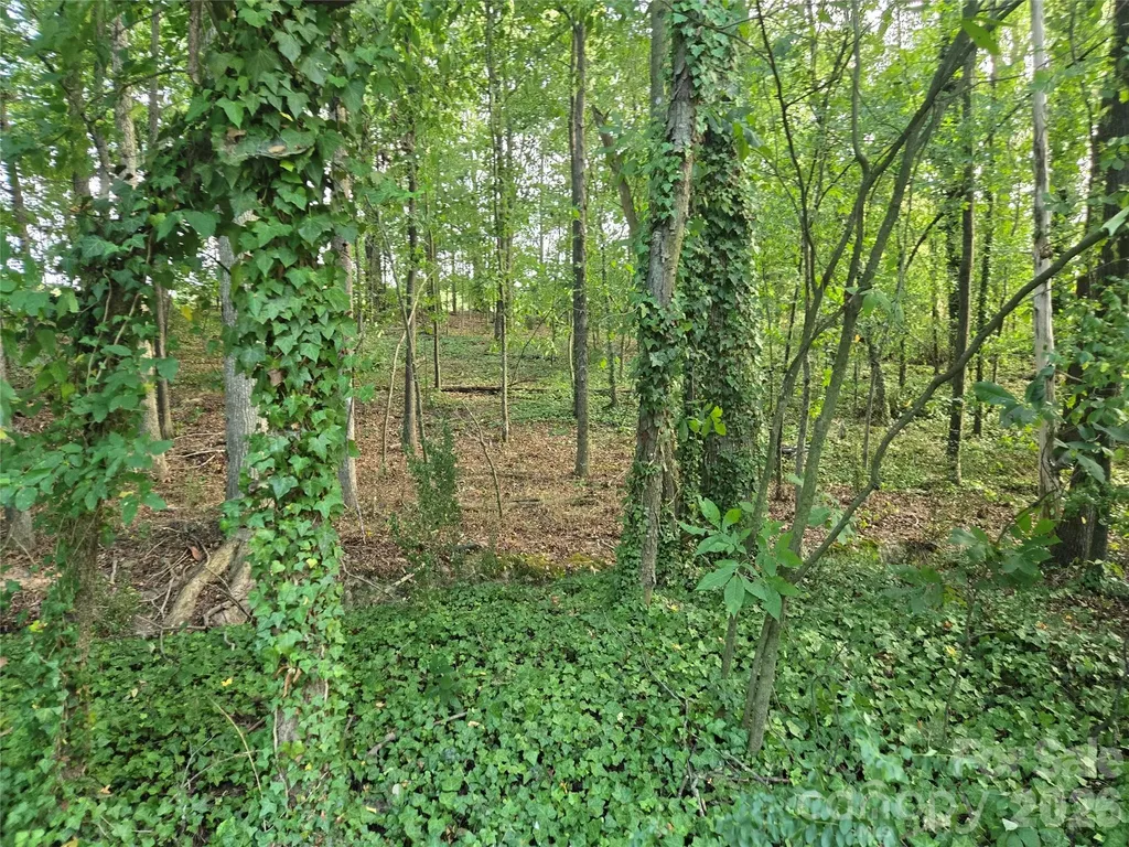 3904 Lucy Shortcut Road Marshville NC 28103