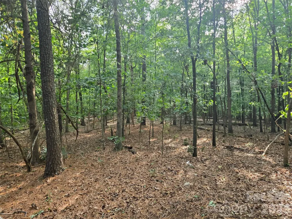 3904 Lucy Shortcut Road Marshville NC 28103