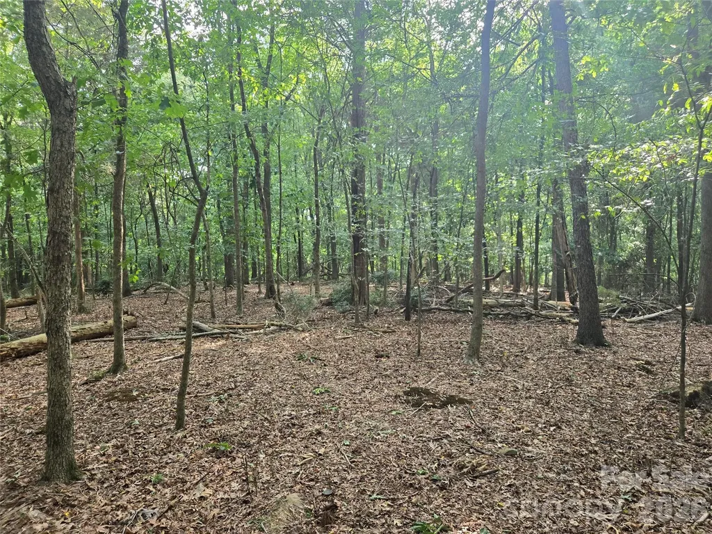3904 Lucy Shortcut Road Marshville NC 28103