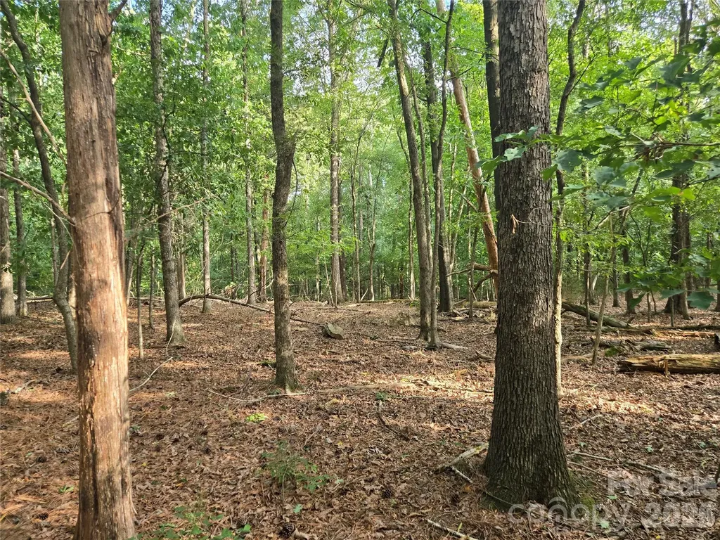 3904 Lucy Shortcut Road Marshville NC 28103