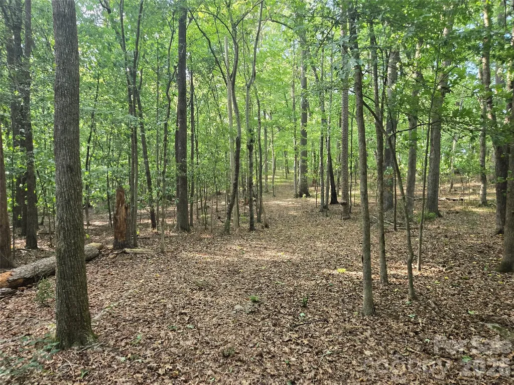3904 Lucy Shortcut Road Marshville NC 28103