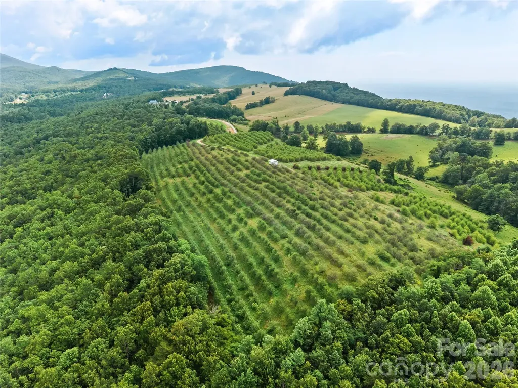 0 Summer Road Hendersonville NC 28792