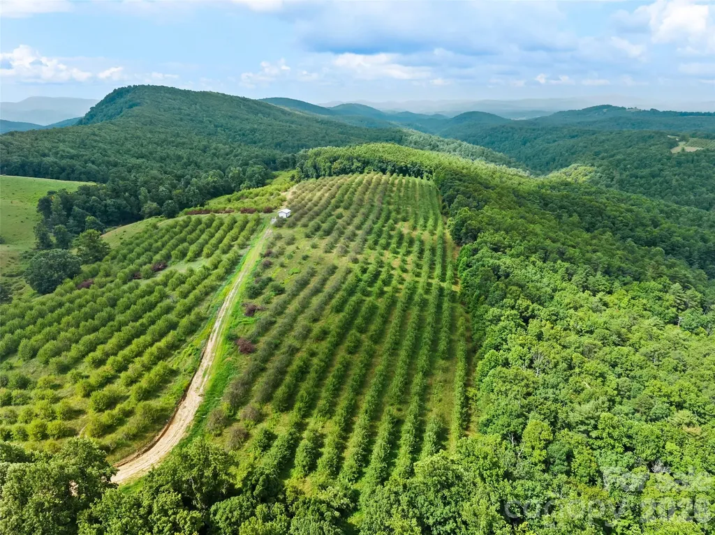 0 Summer Road Hendersonville NC 28792
