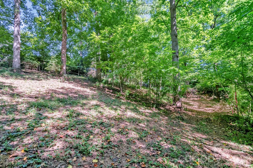 2520 Austin Chaney Road Wingate NC 28174