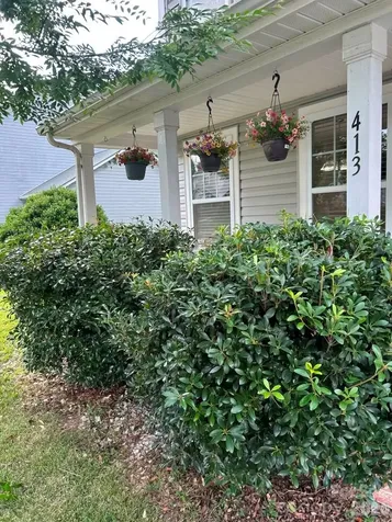 413 Peachtree Road Charlotte NC 28216