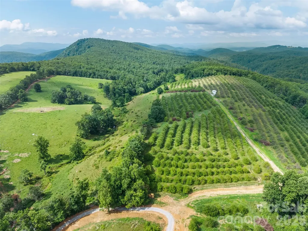 0 Summer Road Hendersonville NC 28792
