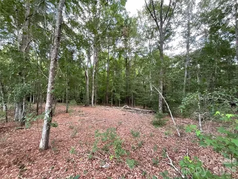 809 Campbell Road Jefferson SC 29718