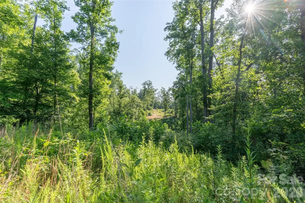443 Polk County Line Road Rutherfordton NC 28139