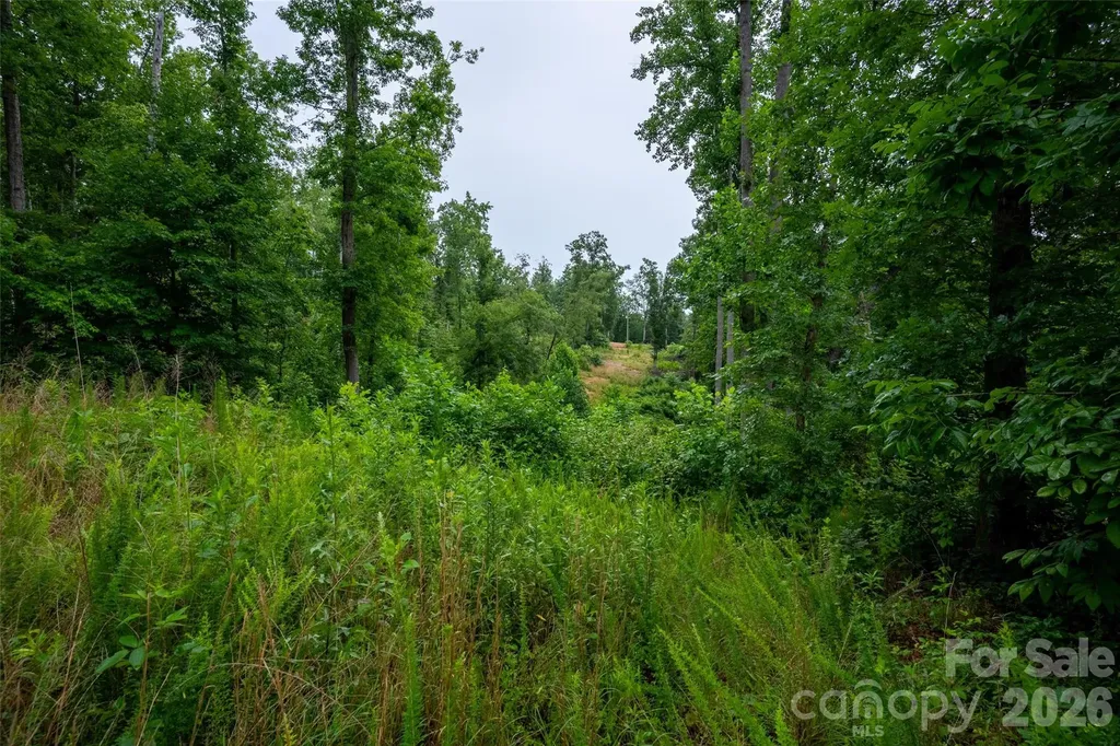 443 Polk County Line Road Rutherfordton NC 28139