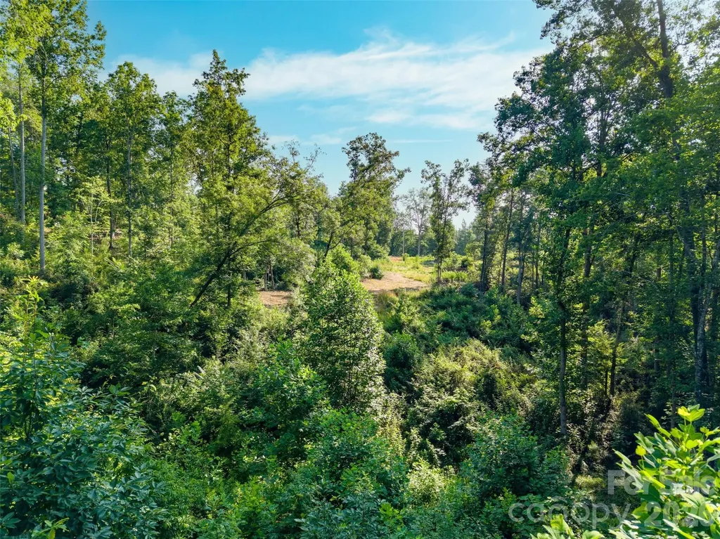 443 Polk County Line Road Rutherfordton NC 28139