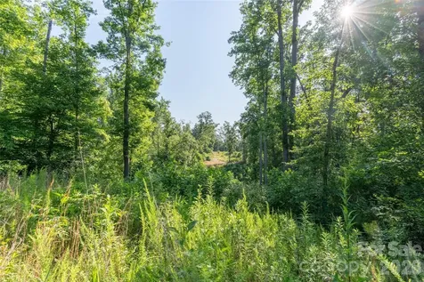 443 Polk County Line Road Rutherfordton NC 28139