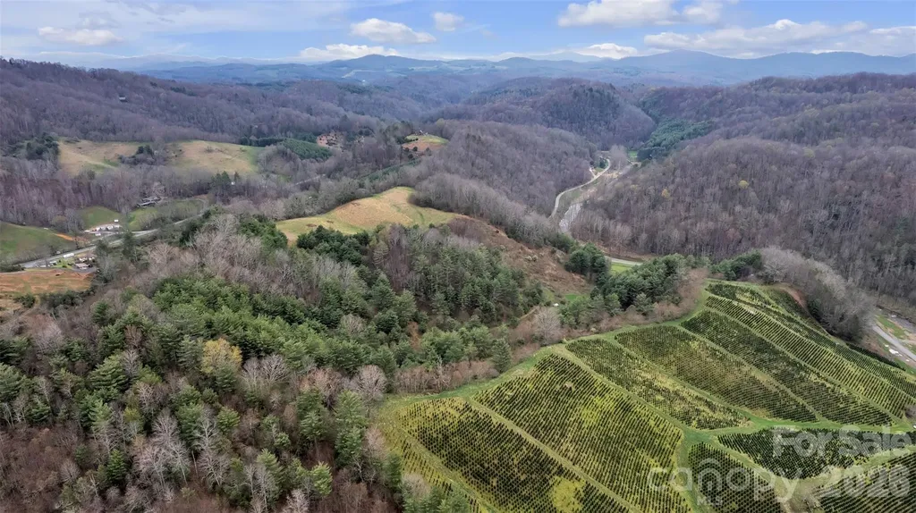 Tbd Big Helton Road Grassy Creek NC 28631
