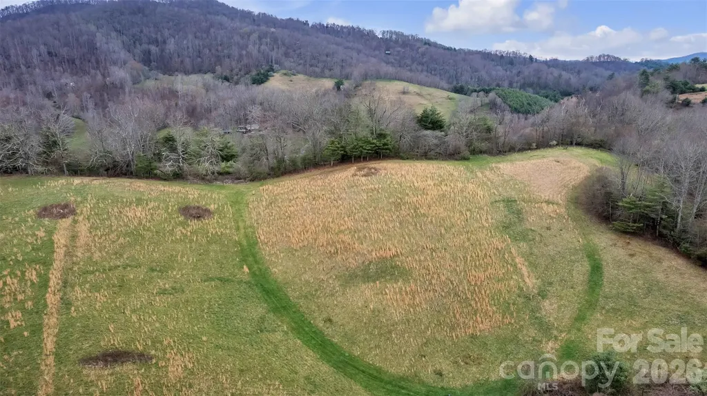 Tbd Big Helton Road Grassy Creek NC 28631