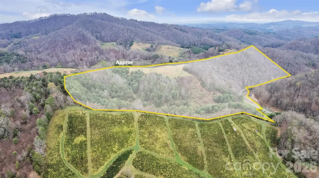 Tbd Big Helton Road Grassy Creek NC 28631